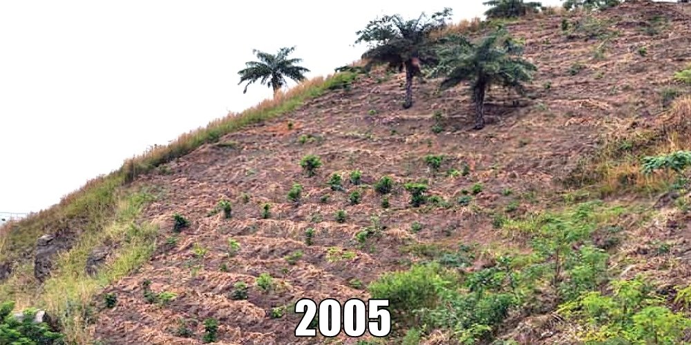 BEFOREAFTER_BEFORE