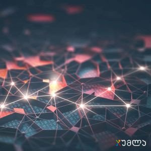 Magex1 - Fields demo article